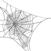 Spider web isolated on white background. Realistic hand drawn line sketch. Halloween spooky cobwebs. Outline black vector illustration.