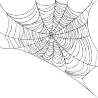 Spider web isolated on white background. Realistic hand drawn line sketch. Halloween spooky cobwebs. Outline black vector illustration.