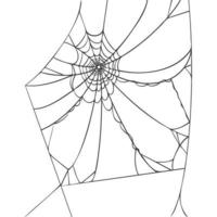 Spider web isolated on white background. Realistic hand drawn line sketch. Halloween spooky cobwebs. Outline black vector illustration.