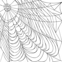 Spider web isolated on white background. Realistic hand drawn line sketch. Halloween spooky cobwebs. Outline black vector illustration.