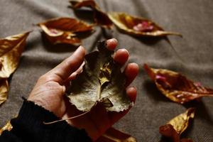 Woman Holding Dried Leaves In Hand In Karachi Pakistan 2022 photo