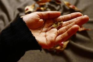 Woman Holding Dried Leaves In Hand In Karachi Pakistan 2022 photo