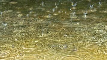 Rain Drops Hitting The Ground in Karachi Pakistan 2022 photo