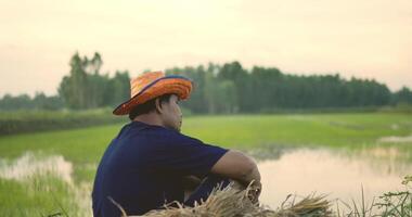 lato Visualizza di giovane contadino indossare blu camicia prendere via un' cannuccia cappello e seduta con si sente tristezza e guardare per inondazioni nel riso campo video