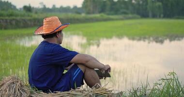 vista lateral de un joven agricultor que usa pantalones azul, se quita un sombrero de paja y se sienta sosteniendo una computadora portátil en la mano con tristeza y mirando las inundaciones en el campo de arroz video