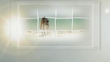 art de fond, cadre photo d'une plume video