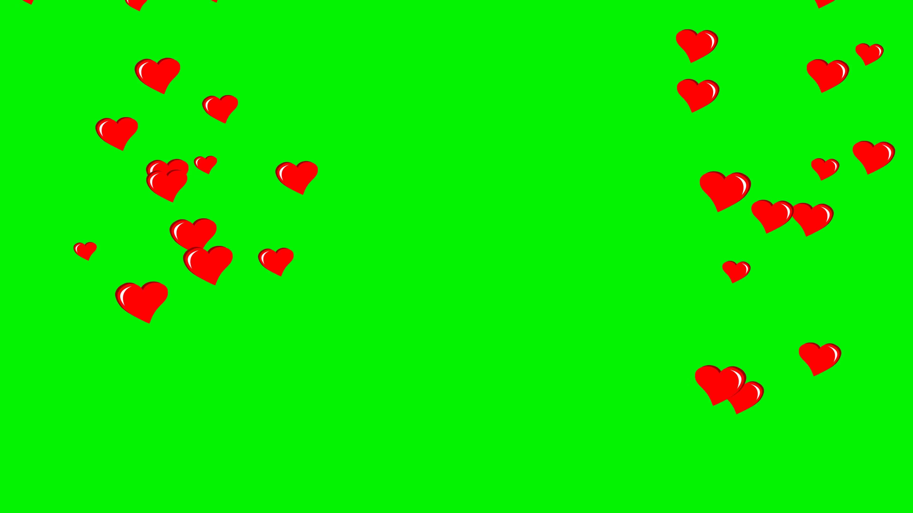 4K Heart Love bubbles motion graphics with green, white, black screen