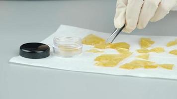 golden cannabis resin concentrate with high thc video