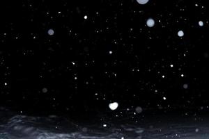 Element for winter design or overlay. Real snow over black background. photo