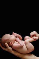 Cute newborn baby lying in the father's hands photo