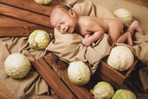 Little baby is lying in the box with a lot of cabbages around photo