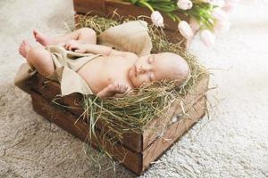 Baby is lying in the wooden box filled with a hay and heap of pink tulips photo