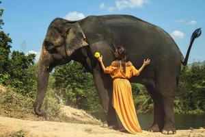 mujer con hermoso vestido naranja y poderoso elefante foto