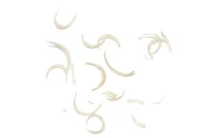 Pile of nail clipping on white background photo