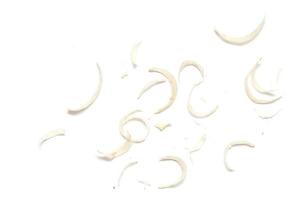 Pile of nail clipping on white background photo