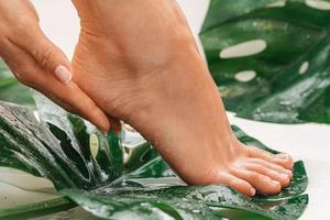 Wet female feet with smooth skin and tropical leaves photo