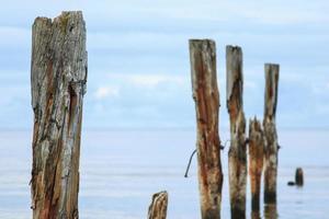 Sea scenery with broken pier poles sticking from water. photo