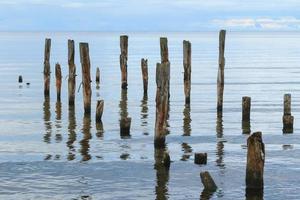 Sea scenery with broken pier poles sticking from water. photo