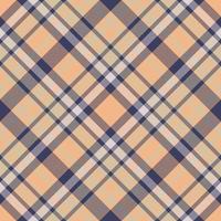 Plaid pattern vector. Check fabric texture. Seamless textile design for clothes, paper print. vector