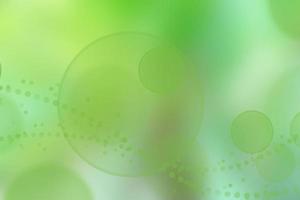 natural green bokeh abstract background photo