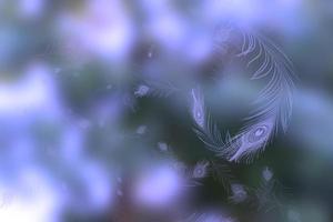 natural blue bokeh abstract background,blurred textured photo