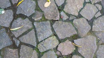 cobblestone path with fallen leaves. as background