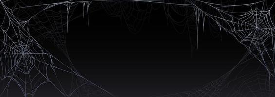 Realistic spider web isolated on black background vector