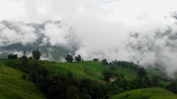 bellissimo nebbia dopo pioggia su montagna video