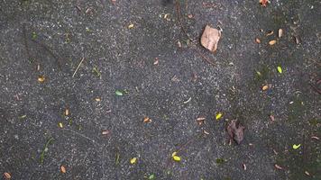 concrete street texture with dry leaves photo