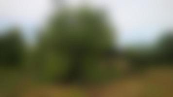 a hut on a farm photo