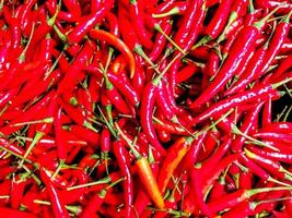 Red chilli fit on screen background and wallpaper. photo