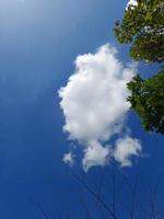 nubes blancas en el cielo azul. el cielo y el infinito. hermoso fondo azul brillante. nubosidad ligera, buen tiempo. nubes rizadas en un día soleado. foto