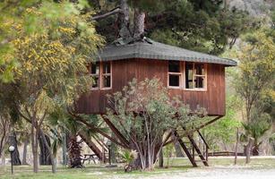 una hermosa casa grande en el árbol como la real. foto