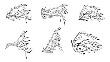 Set of Branches with Leaves Shilouette sketch vector