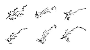 Set of Branches with Leaves Shilouette sketch vector