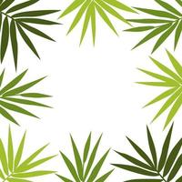 Background in the form of a frame from green leaves of bamboo vector