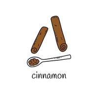Cinnamon sticks and ground cinnamon. Hand drawn vector