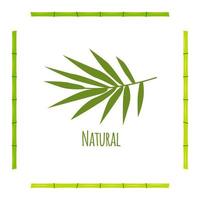 Branch with bamboo leaves green with stems vector card