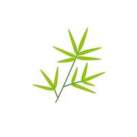 Branch with bamboo leaves green. Nature element vector flat illustration. Icon or card