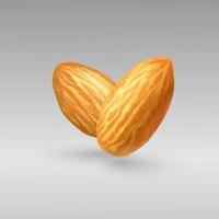 Photorealistic illustration of flying almond on gray background. Nuts on isolated background. Photorealistic vector illustration for packaging design, labels, postcards, print design.