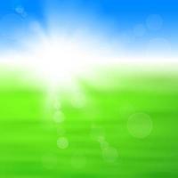 Background with shiny sun with flares over the green field vector