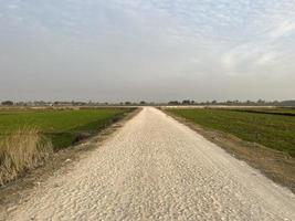 vista aérea cinematográfica graduada en color de un campo de cultivo en el pueblo de pakistán hermosa vista del paisaje del campo de arroz en thathi mianwali foto