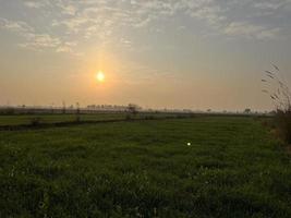 Cinematic color graded aerial view of a field crops in the village of Pakistan Beautiful landscape view of rice field in Thathi Mianwali photo