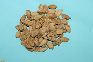 Different dried fruits and nuts on white background, top view. Space for text photo