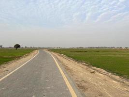 Cinematic color graded aerial view of a field crops in the village of Pakistan Beautiful landscape view of rice field in Thathi Mianwali photo