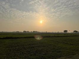 Cinematic color graded aerial view of a field crops in the village of Pakistan Beautiful landscape view of rice field in Thathi Mianwali photo