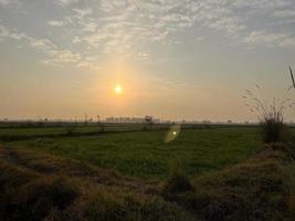 vista aérea cinematográfica graduada en color de un campo de cultivo en el pueblo de pakistán hermosa vista del paisaje del campo de arroz en thathi mianwali foto