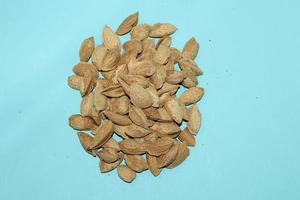 Different dried fruits and nuts on white background, top view. Space for text photo