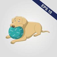 Labrador Retriever take ball in mouth Colored Vector Illustration