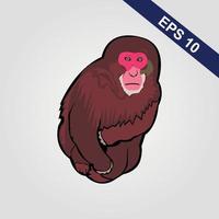 Cute monkey icon. Vector illustration isolated on a grey background.